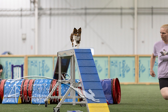 RookieICEAgility2026407