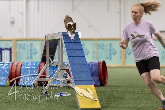 RookieICEAgility2026408