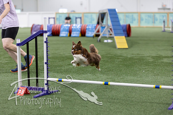 RookieICEAgility2026409