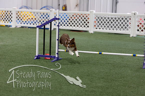RookieICEAgility2026413