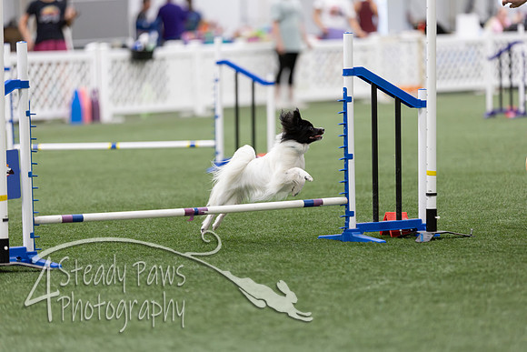 RookieICEAgility2026421