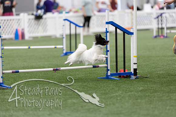 RookieICEAgility2026422