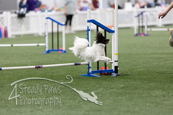 RookieICEAgility2026423