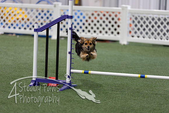RookieICEAgility2026427