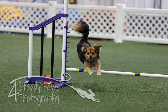 RookieICEAgility2026428