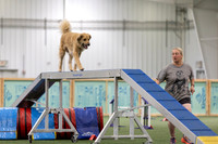 RookieICEAgility202601