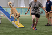 RookieICEAgility202602