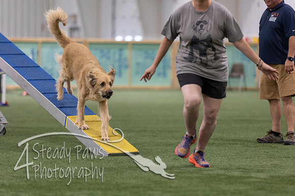 RookieICEAgility202602