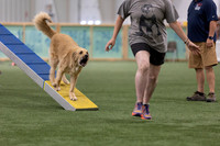 RookieICEAgility202603