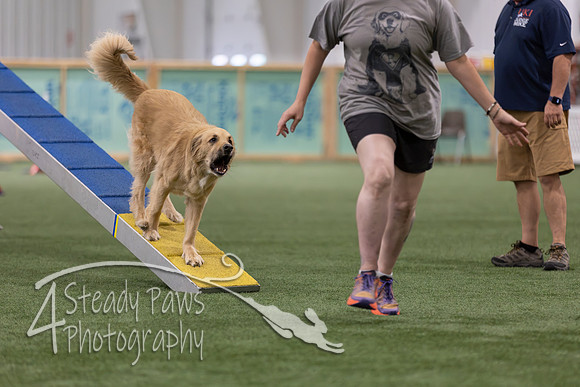 RookieICEAgility202603