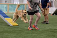 RookieICEAgility202604