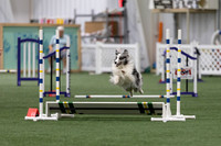 InternationalICEJumping202620
