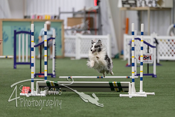 InternationalICEJumping202620