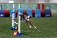 InternationalICEJumping202617