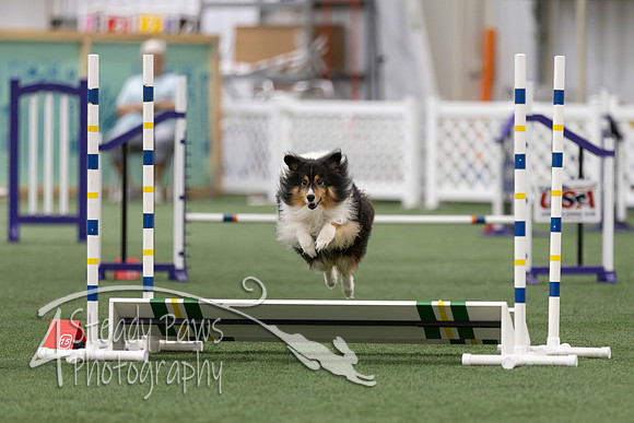 InternationalICEJumping202636