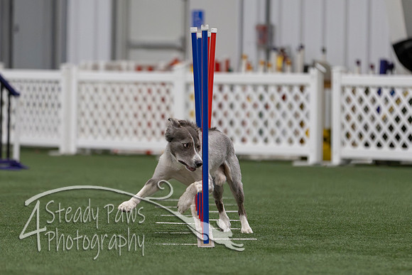 InternationalICEJumping202649