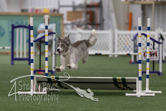 InternationalICEJumping202653