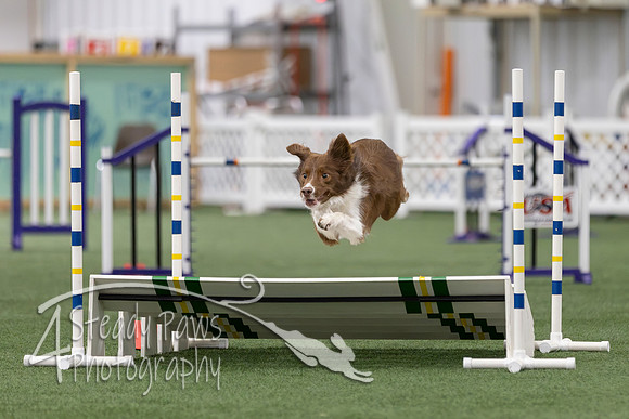 InternationalICEJumping2026232