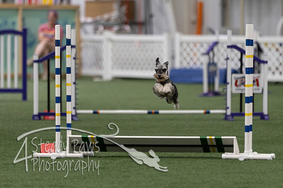 InternationalICEJumping2026533