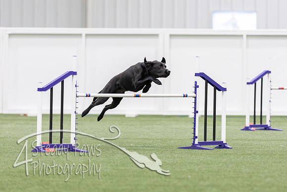 InternationalICEJumping2026698