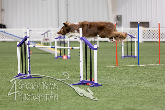 InternationalICEAgility2026191