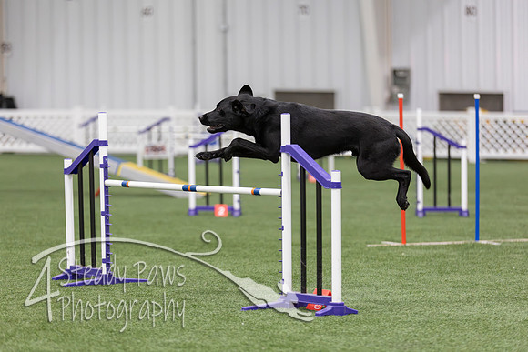 InternationalICEAgility2026597