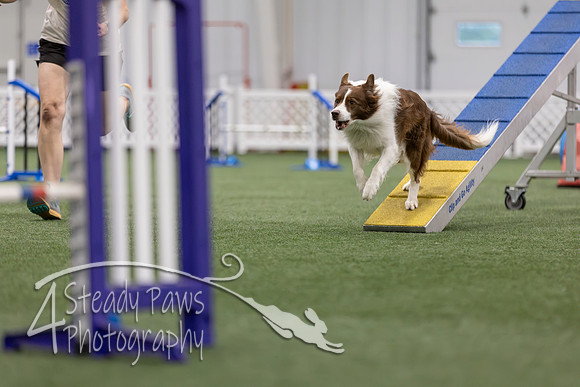 MastersSeriesAgility2026434