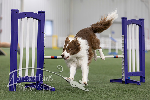 MastersSeriesAgility2026437