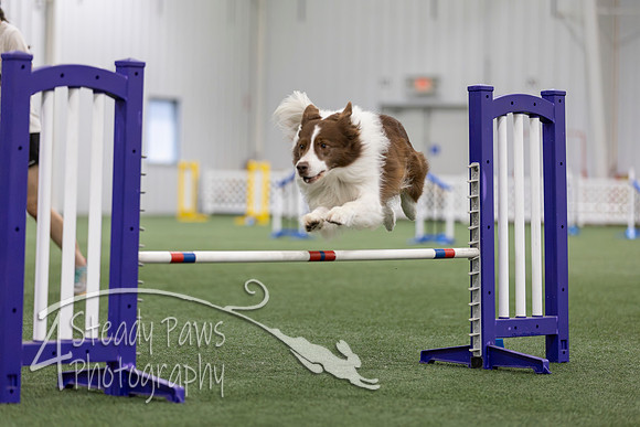 MastersSeriesAgility2026435