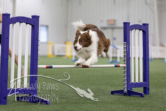 MastersSeriesAgility2026436