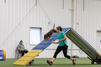 Master Series Agility