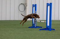 MastersSeriesAgility202602