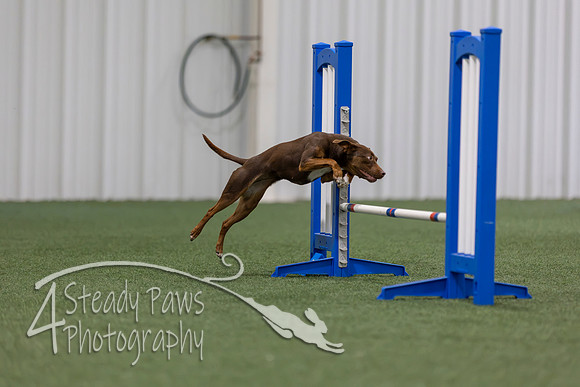 MastersSeriesAgility202602