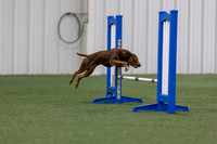 MastersSeriesAgility202603