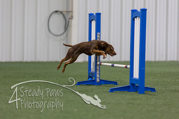 MastersSeriesAgility202603