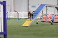 MastersSeriesAgility202604