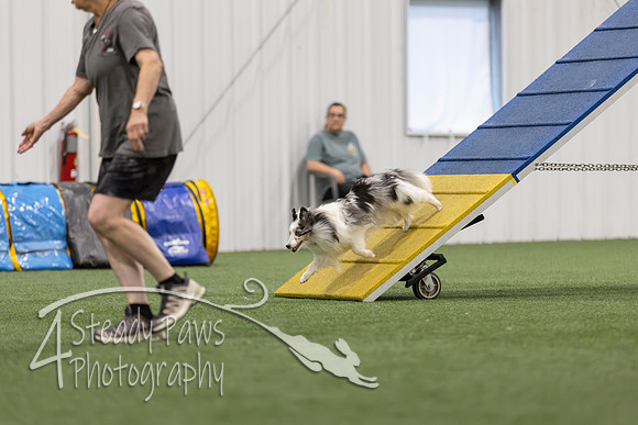 MastersSeriesAgility202606