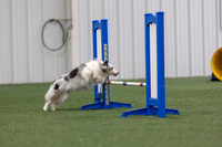 MastersSeriesAgility202607