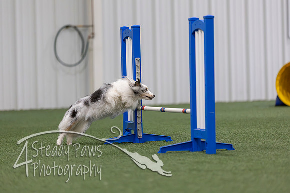 MastersSeriesAgility202607