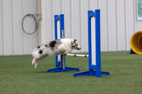 MastersSeriesAgility202608