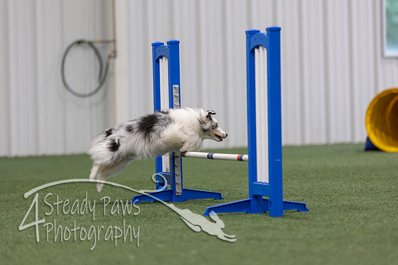 MastersSeriesAgility202608