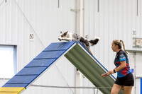 MastersSeriesAgility202609