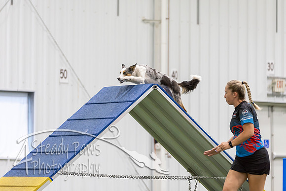 MastersSeriesAgility202609