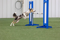 MastersSeriesAgility202611