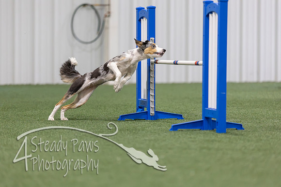 MastersSeriesAgility202611