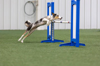 MastersSeriesAgility202612