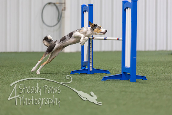 MastersSeriesAgility202612