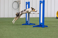 MastersSeriesAgility202613