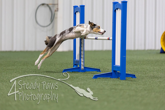 MastersSeriesAgility202613
