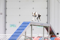 MastersSeriesAgility202614